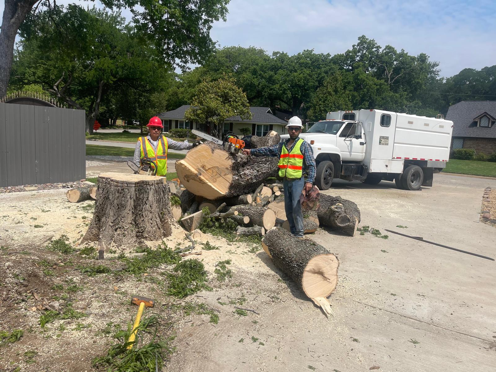 820 Tree Service Project