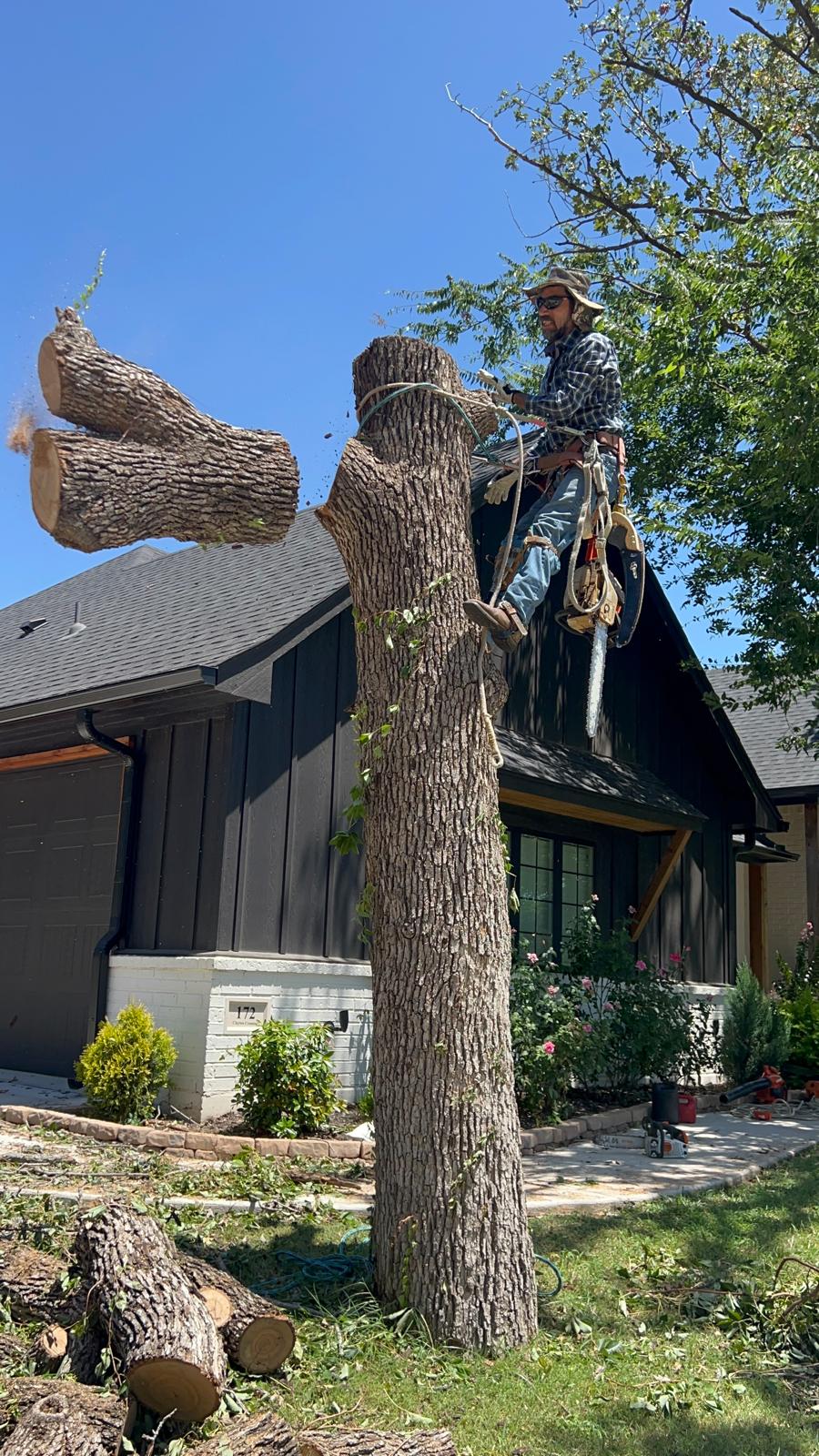 Tree Trimming Services in Fort Worth TX